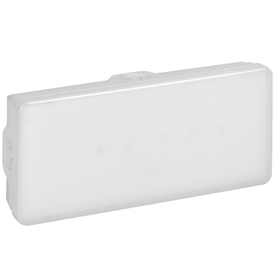 Эвакуационный светильник B65 - Legrand