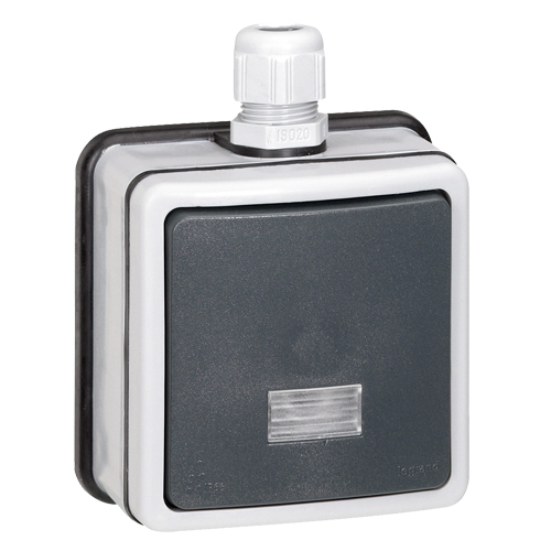 Переключатель двухполюсный с подсветкой - Plexo IP66 - серый