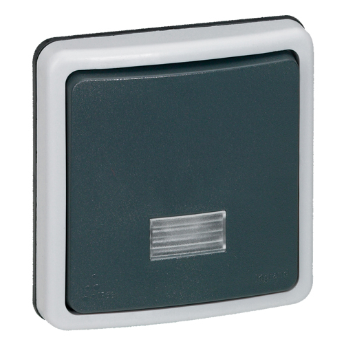 Переключатель двухполюсный с подсветкой - Plexo IP66 - серый