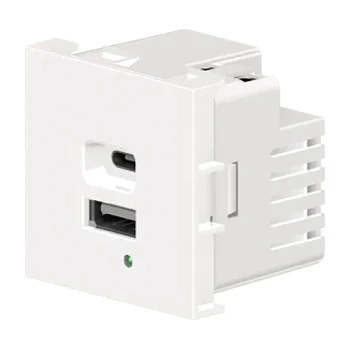 Двойная розетка USB A+C тип 4,2A/21W - 2 модуля - JSL - белый