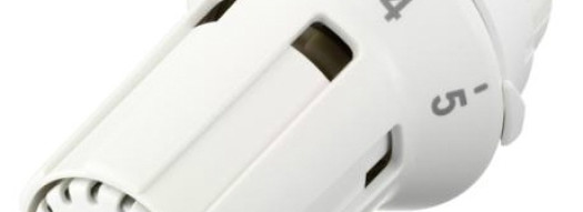 Термостатиеская головка - RAW-K 5030