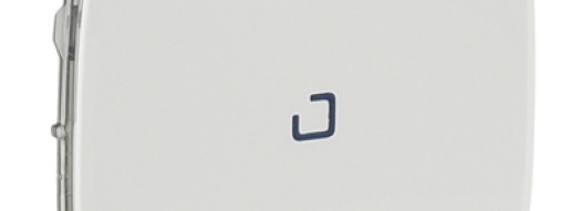 Лицевая панель для выключателя с выдержкой времени - Valena Allure - белый