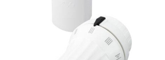 Термостатиеская головка - RAE