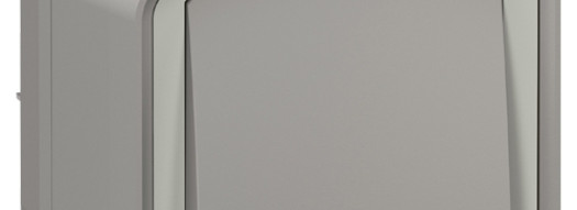 Выключатель кнопочный Н.О. контакт - Plexo IP55 - серый