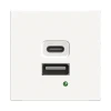 Двойная розетка USB A+C тип 4,2A/21W - 2 модуля - JSL - белый