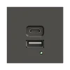 Двойная розетка USB A+C тип 4,2A/21W - 2 модуля - JSL - черный